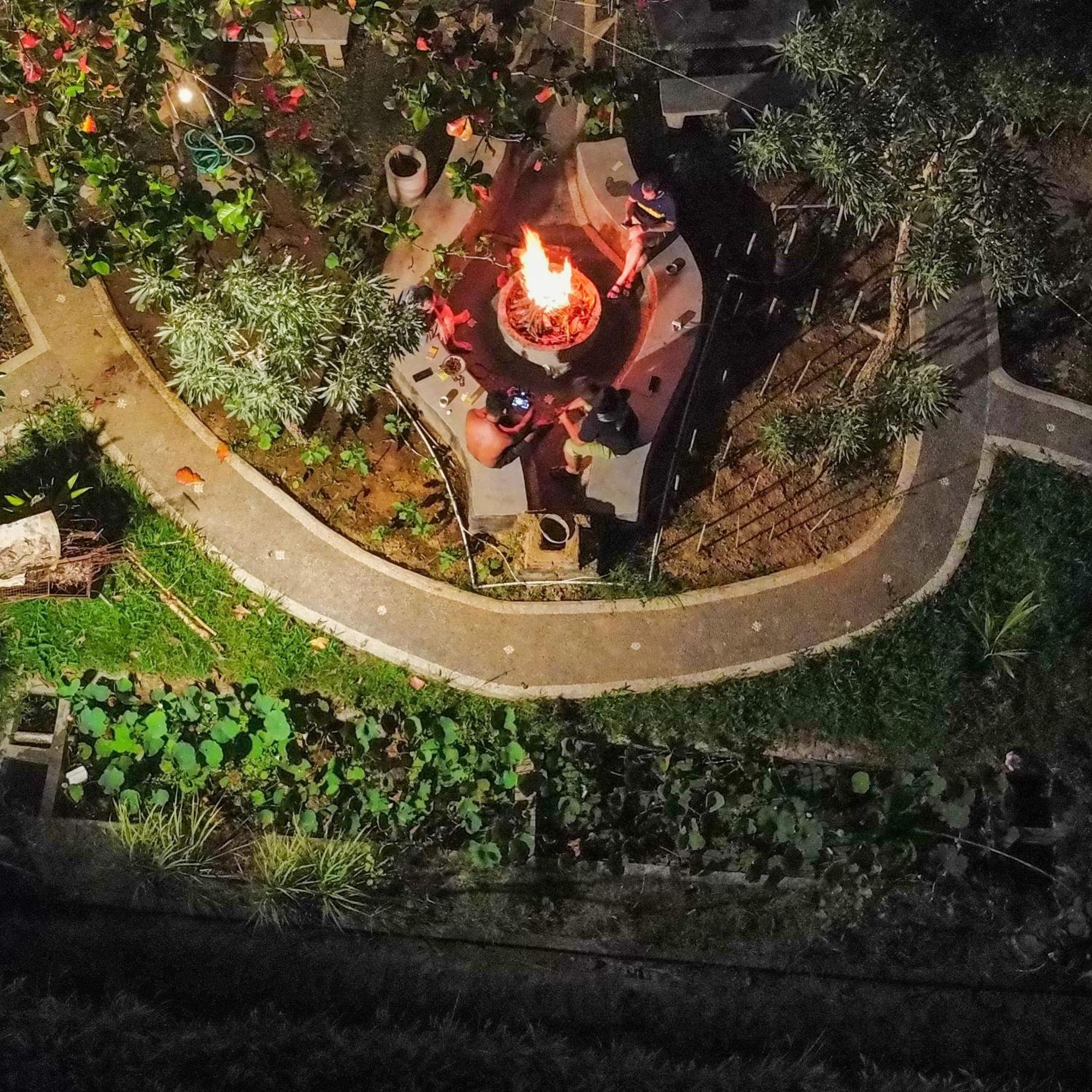 达穆住宿加早餐旅馆 乌布 外观 照片